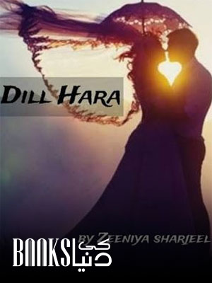 Dil Hara Novel